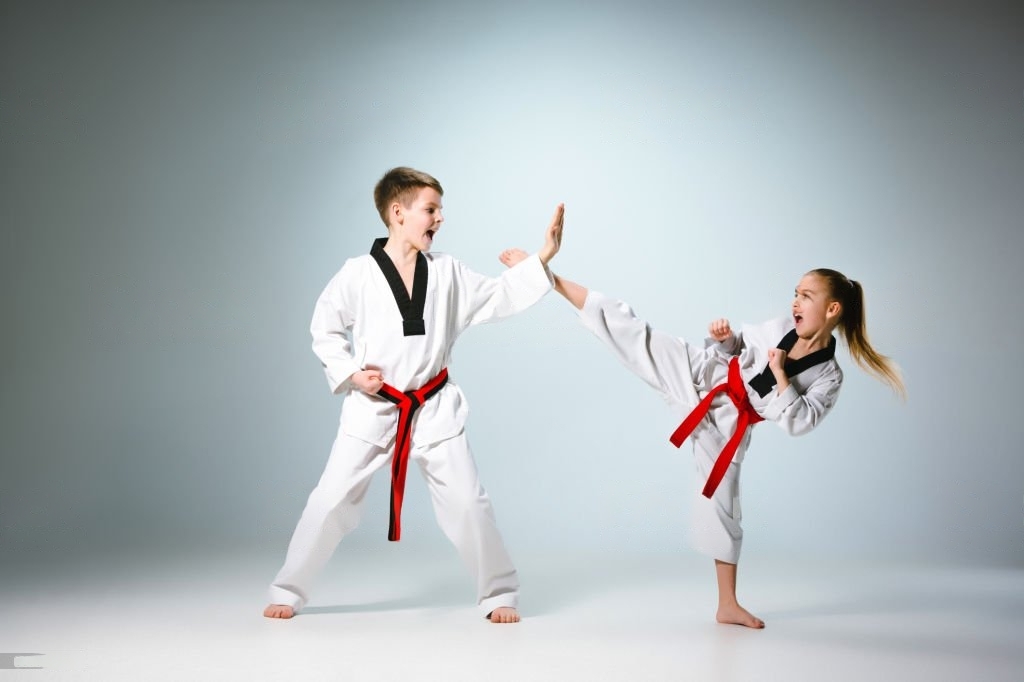 taekwondo classes for kids
